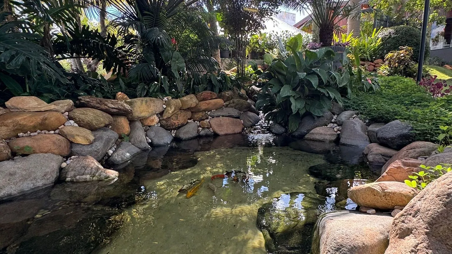 Um lago cercado por pedras e plantas em um jardim.